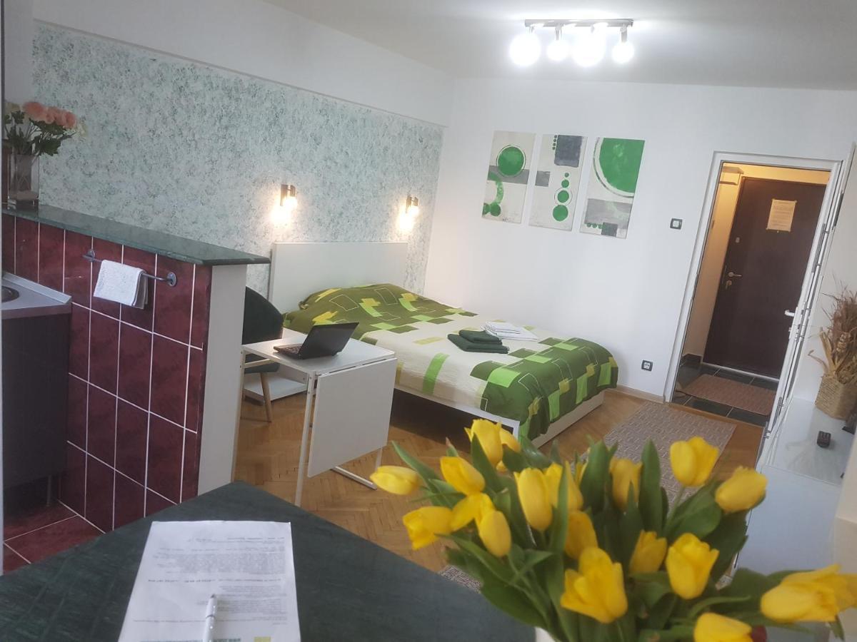 Calea Victoriei Residence 부쿠레슈티 외부 사진
